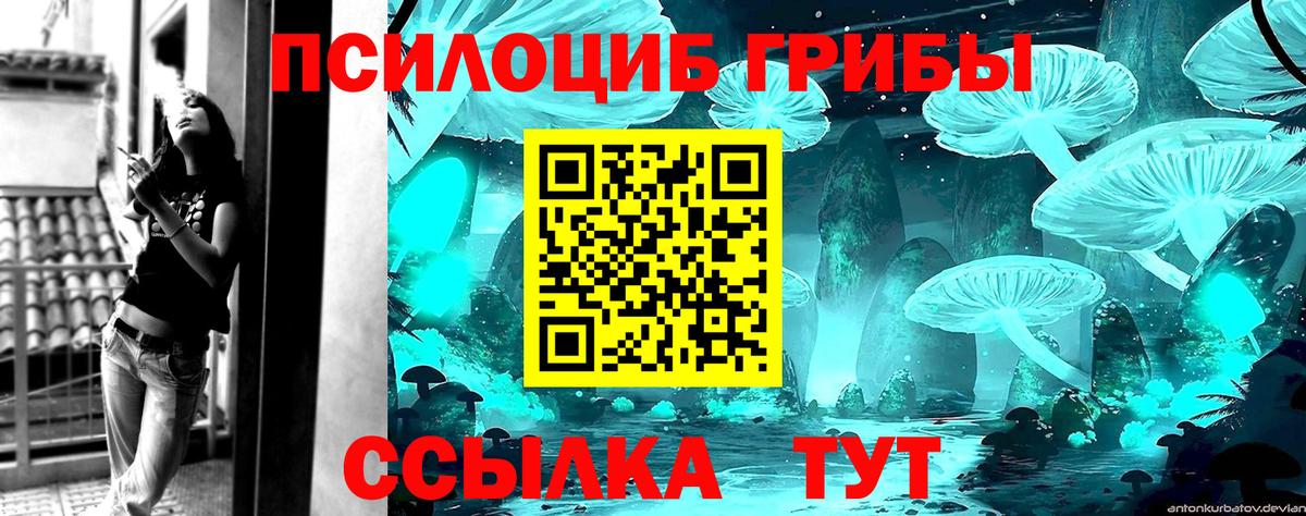 Псилоцибиновые грибы ЛСД Камышин