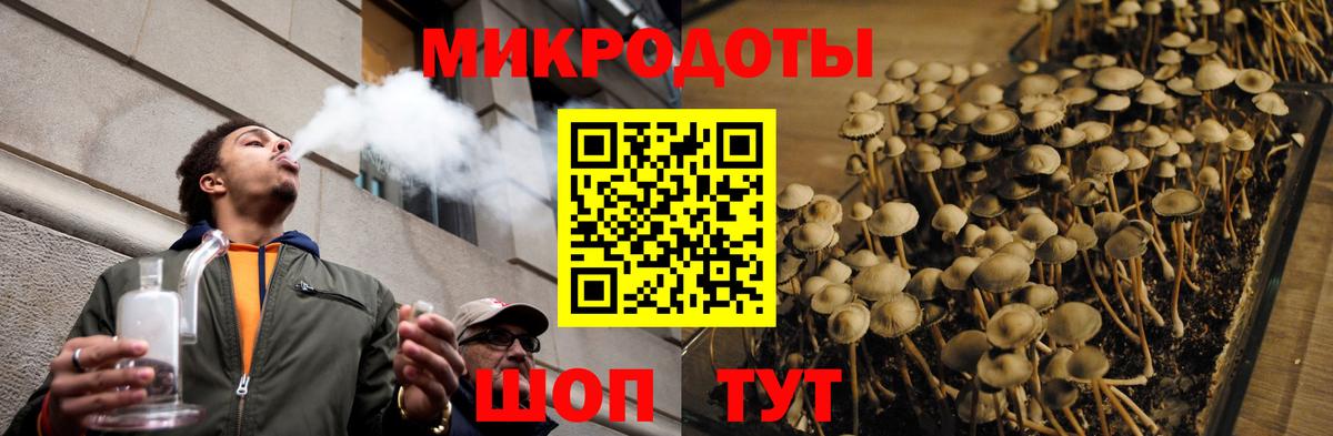 Псилоцибиновые грибы Magic Shrooms  Вход с VPN  Камышин  Псилоцибиновые грибы Psilocybine cubensis 